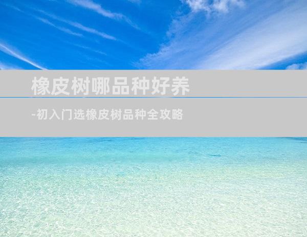 橡皮树哪品种好养-初入门选橡皮树品种全攻略