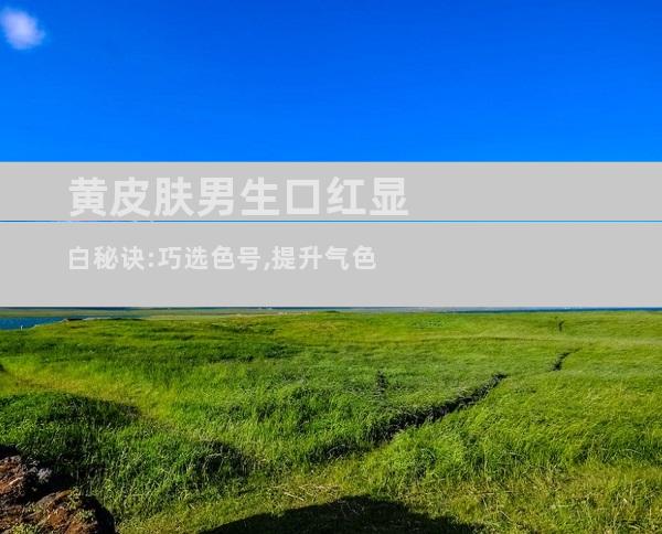 黄皮肤男生口红显白秘诀:巧选色号,提升气色